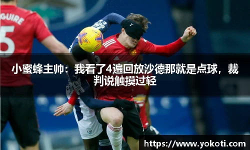 小蜜蜂主帅：我看了4遍回放沙德那就是点球，裁判说触摸过轻